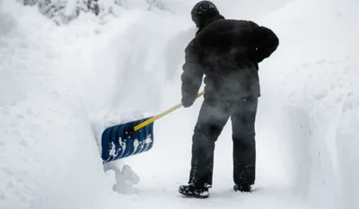 Illustration shovelled - Image 1