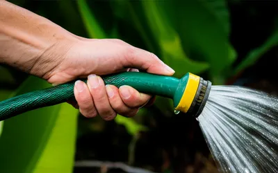 Illustration constrictions - Image 1