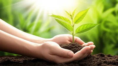 Illustration nurse - Image 1