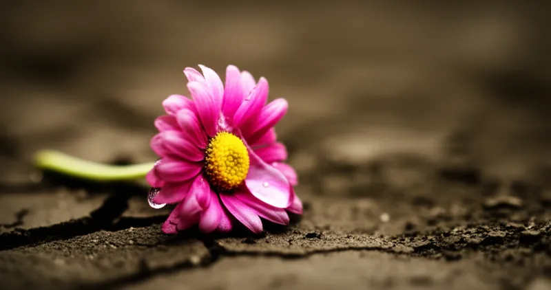 Illustration visuelle de rue: Regretter, déplorer - Image 1