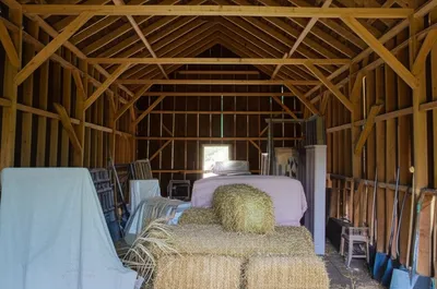 Illustration barn - Image 1