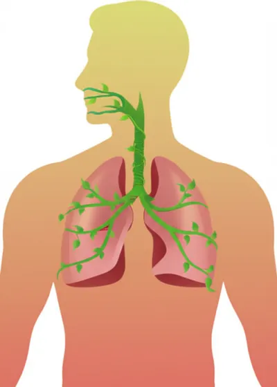 Illustration galloped - Image 1