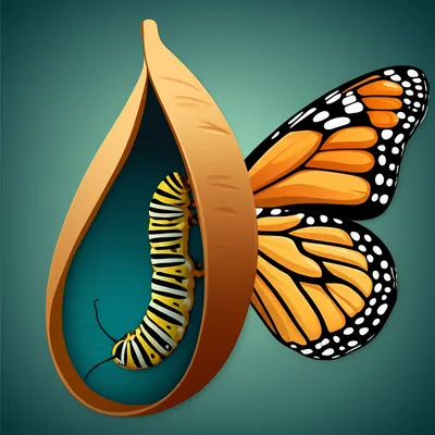 Illustration transition - Image 1