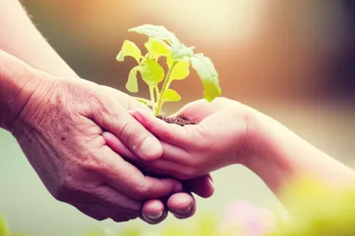 Illustration acknowledgement - Image 2