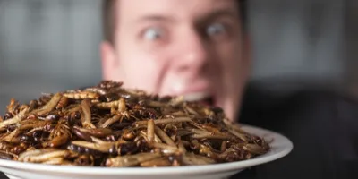 Illustration abhorring - Image 1