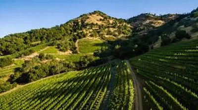 Illustration hillside - Image 2