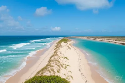 Illustration eids - Image 1