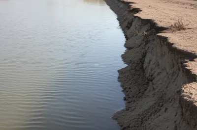 Illustration enforce - Image 1