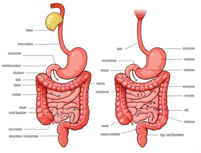 Illustration digest - Image 1