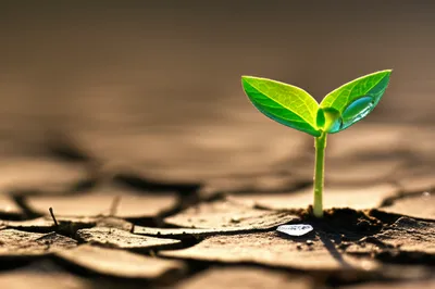 Illustration frugality - Image 1