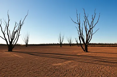 Illustration sparse - Image 1