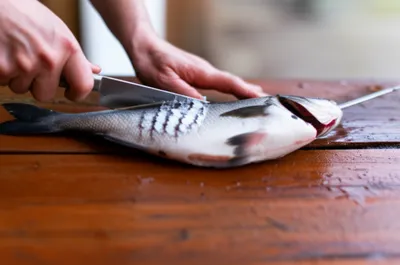 Illustration cleaned - Image 1