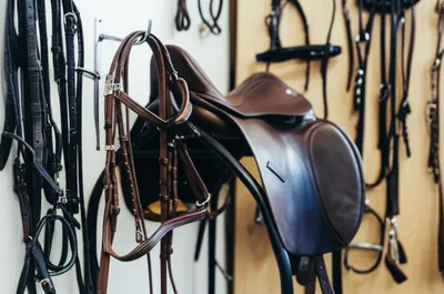 Illustration tack - Image 1