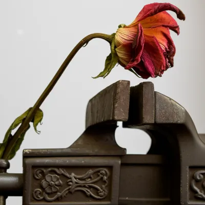 Illustration pressures - Image 1