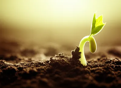 Illustration rising - Image 1