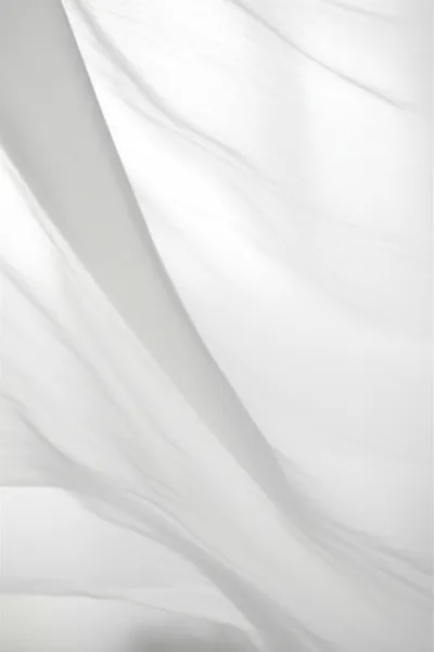 Illustration gossamer - Image 2