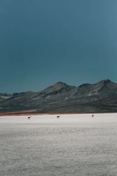 Illustration salinity - Image 2