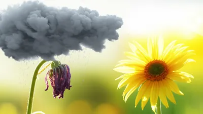 Illustration whine - Image 1