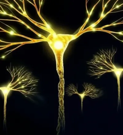 Illustration axons - Image 1