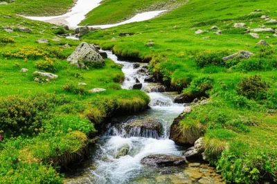 Illustration headwaters - Image 1