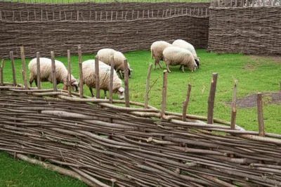 Illustration hurdles - Image 1