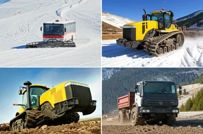 Illustration cats - Image 1