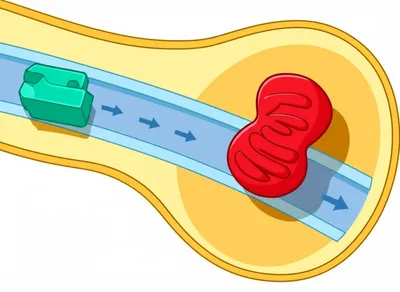 Illustration targeting - Image 1