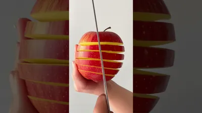 Illustration partition - Image 1