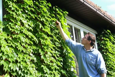 Illustration outward - Image 1