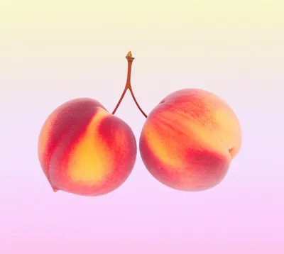 Illustration pairs - Image 1