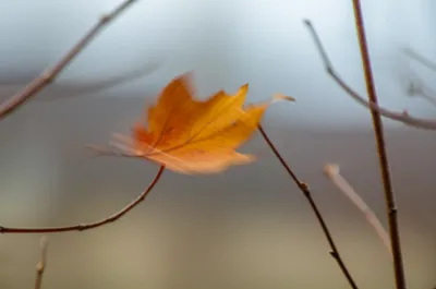 Illustration quivers - Image 1