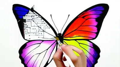 Illustration falsification