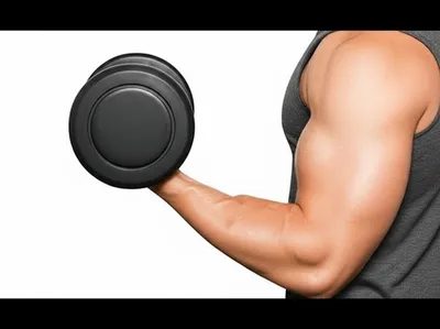 Illustration flex - Image 1