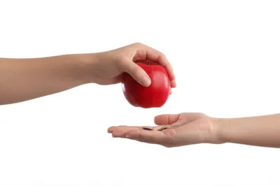 Illustration trade - Image 1