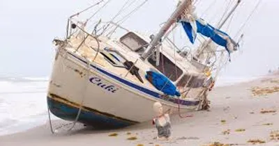 Illustration strand - Image 2