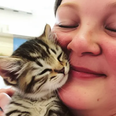 Illustration adores - Image 1