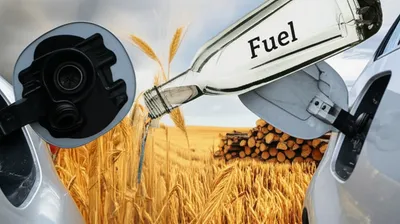 Illustration denatured - Image 1