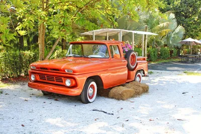 Illustration repainted - Image 2