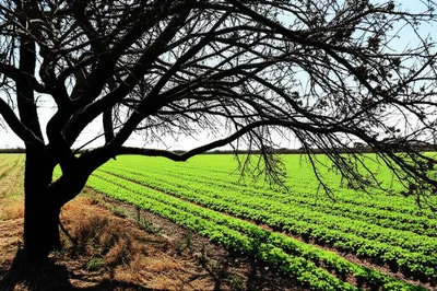 Illustration malignant - Image 1