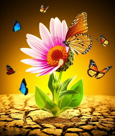 Illustration rez - Image 1