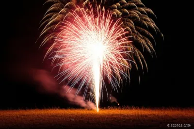 Illustration flare - Image 1