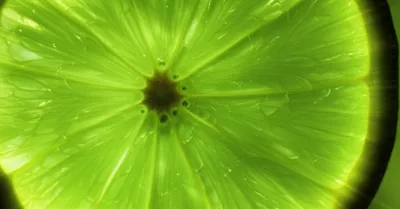 Illustration tangier