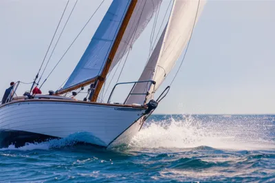 Illustration raking - Image 1