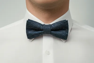 Illustration bowtie