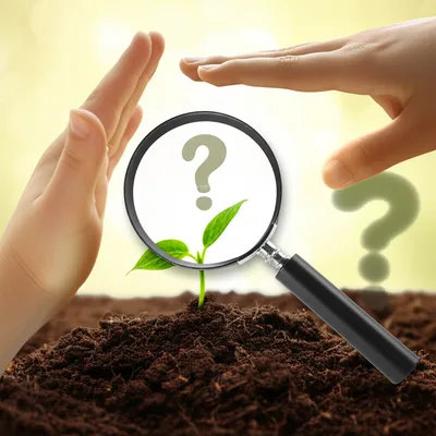 Illustration care - Image 1