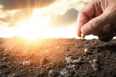 Illustration initiator