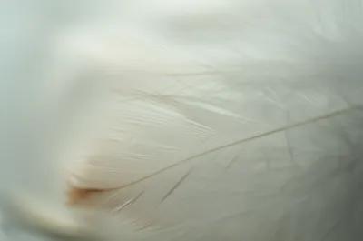 Illustration lighter - Image 1