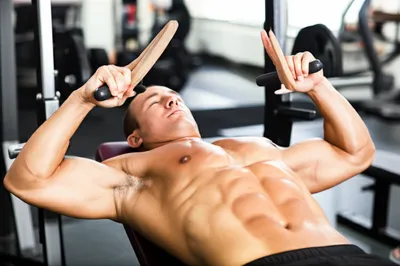 Illustration fly - Image 1