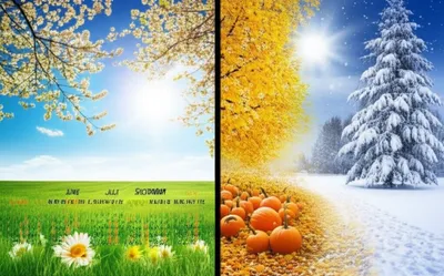 Illustration biannual