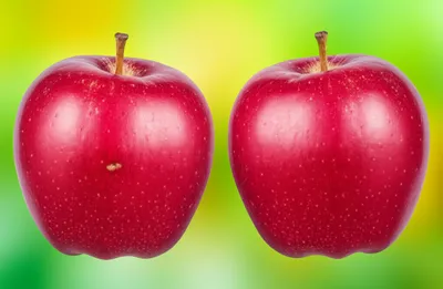 Illustration compare - Image 1